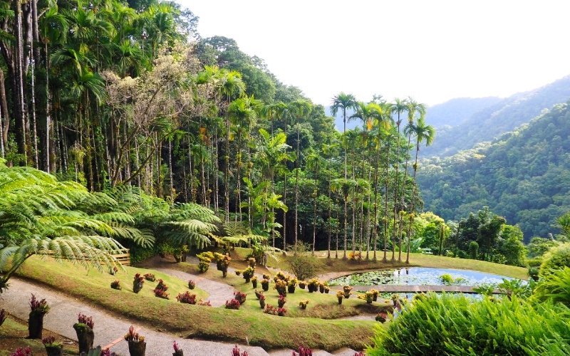 Jardin de Balata