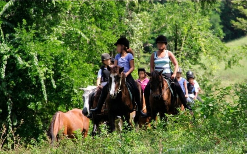Balade à cheval