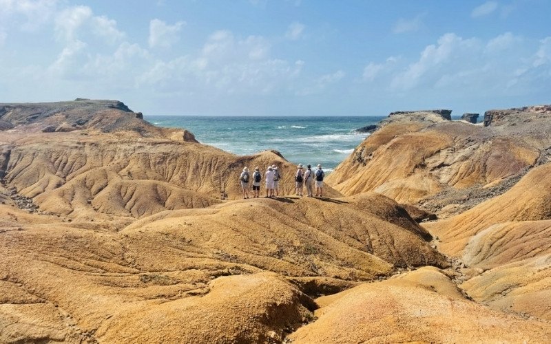 Savane des Pétrifications